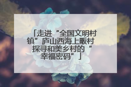 走进“全国文明村镇”庐山西海上畈村 探寻和美乡村的“幸福密码”