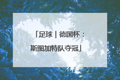 足球｜德国杯：斯图加特队夺冠