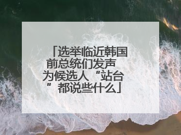 选举临近韩国前总统们发声 为候选人“站台”都说些什么