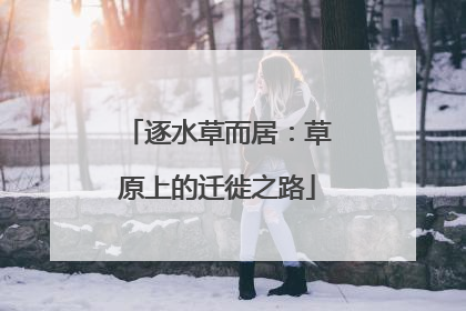 逐水草而居：草原上的迁徙之路