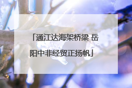 通江达海架桥梁 岳阳中非经贸正扬帆