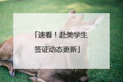 速看！赴美学生签证动态更新