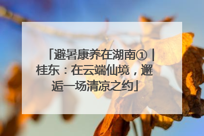 避暑康养在湖南①｜桂东：在云端仙境，邂逅一场清凉之约