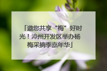 邀您共享“梅”好时光！漳州开发区举办杨梅采摘季嘉年华