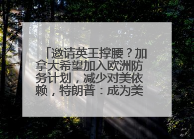 邀请英王撑腰？加拿大希望加入欧洲防务计划，减少对美依赖，特朗普：成为美国第51个州，免费用“金穹”