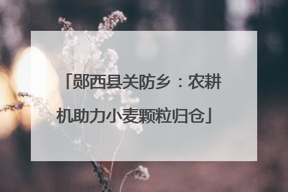 郧西县关防乡：农耕机助力小麦颗粒归仓