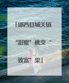 郧西县城关镇“甜蜜”桃变“致富”果