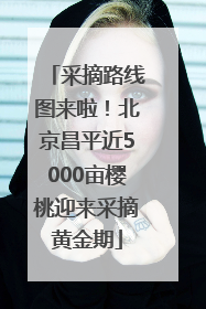 采摘路线图来啦！北京昌平近5000亩樱桃迎来采摘黄金期