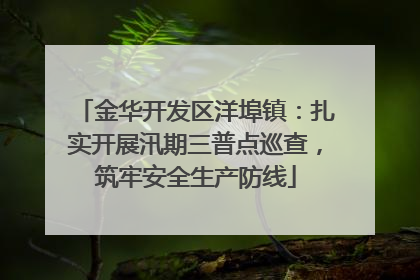 金华开发区洋埠镇：扎实开展汛期三普点巡查，筑牢安全生产防线