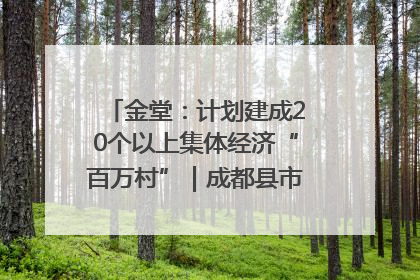 金堂：计划建成20个以上集体经济“百万村”｜成都县市新城高质量发展