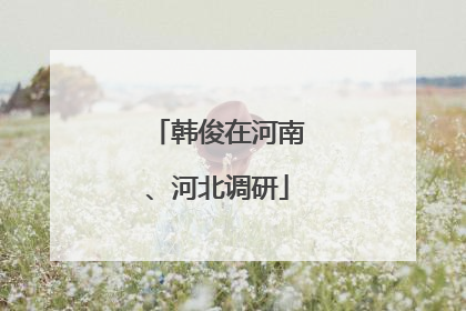 韩俊在河南、河北调研