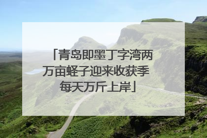 青岛即墨丁字湾两万亩蛏子迎来收获季 每天万斤上岸