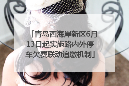 青岛西海岸新区6月13日起实施路内外停车欠费联动追缴机制