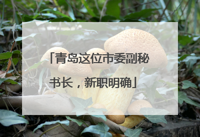 青岛这位市委副秘书长，新职明确