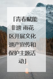 青春赋能非遗 雨花区开展文化遗产宣传和保护主题活动