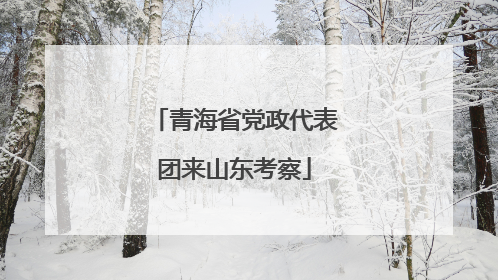 青海省党政代表团来山东考察