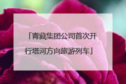 青藏集团公司首次开行塔河方向旅游列车
