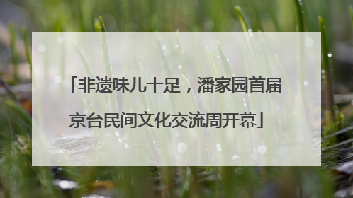 非遗味儿十足，潘家园首届京台民间文化交流周开幕