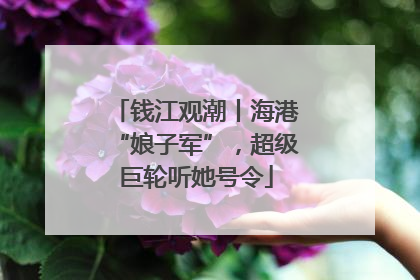 钱江观潮丨海港“娘子军”，超级巨轮听她号令