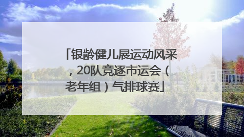 银龄健儿展运动风采，20队竞逐市运会（老年组）气排球赛