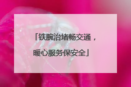 铁腕治堵畅交通，暖心服务保安全