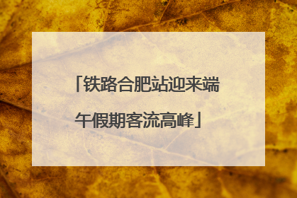 铁路合肥站迎来端午假期客流高峰
