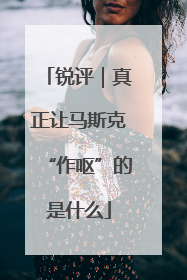 锐评｜真正让马斯克“作呕”的是什么