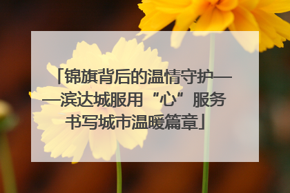 锦旗背后的温情守护——滨达城服用“心”服务书写城市温暖篇章