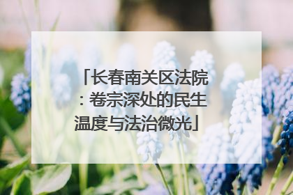 长春南关区法院：卷宗深处的民生温度与法治微光