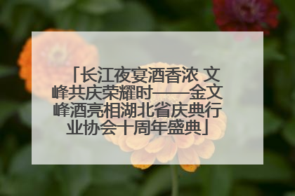 长江夜宴酒香浓 文峰共庆荣耀时——金文峰酒亮相湖北省庆典行业协会十周年盛典