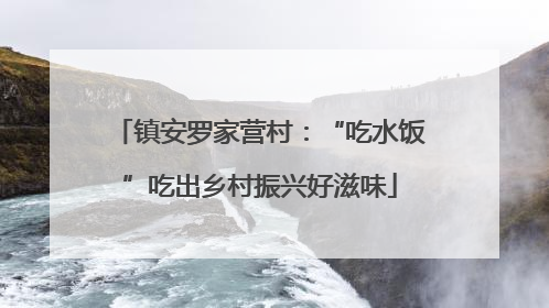 镇安罗家营村：“吃水饭”吃出乡村振兴好滋味