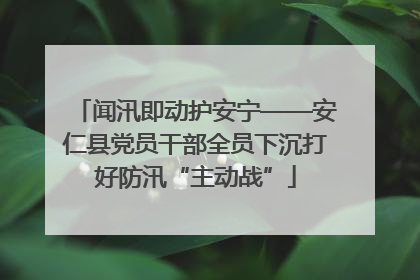 闻汛即动护安宁——安仁县党员干部全员下沉打好防汛“主动战”