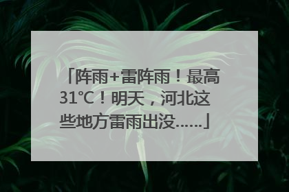 阵雨+雷阵雨！最高31℃！明天，河北这些地方雷雨出没……