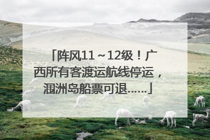 阵风11～12级！广西所有客渡运航线停运，涠洲岛船票可退……