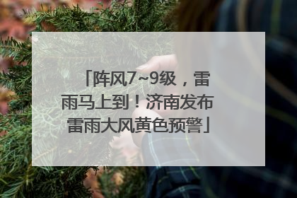 阵风7~9级，雷雨马上到！济南发布雷雨大风黄色预警