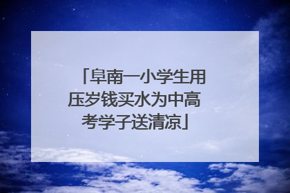 阜南一小学生用压岁钱买水为中高考学子送清凉