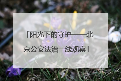 阳光下的守护——北京公安法治一线观察