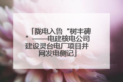 陇电入鲁“树丰碑”——电建核电公司建设灵台电厂项目并网发电侧记