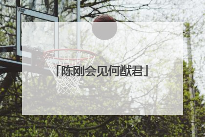 陈刚会见何猷君