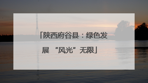 陕西府谷县：绿色发展 “风光”无限