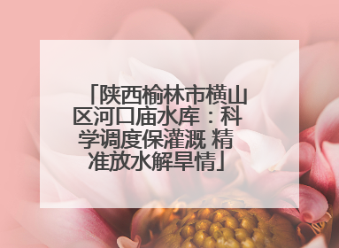 陕西榆林市横山区河口庙水库：科学调度保灌溉 精准放水解旱情