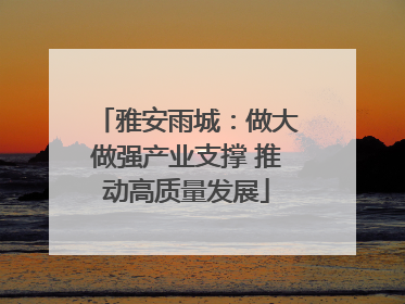 雅安雨城：做大做强产业支撑 推动高质量发展