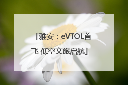 雅安：eVTOL首飞 低空文旅启航