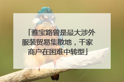 雅宝路曾是最大涉外服装贸易集散地，千家商户在困难中转型