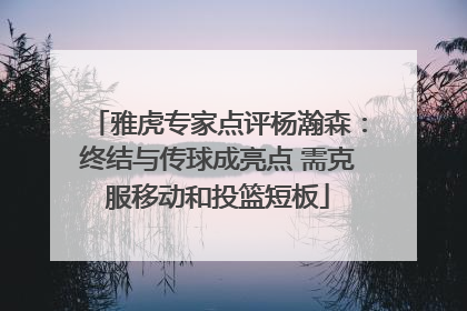 雅虎专家点评杨瀚森：终结与传球成亮点 需克服移动和投篮短板