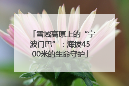 雪域高原上的“宁波门巴”：海拔4500米的生命守护