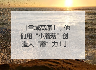 雪域高原上，他们用“小蘑菇”创造大“蘑”力！