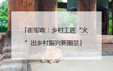 霍军政：乡村工匠“火”出乡村振兴新图景