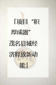 项目“积厚成器” 茂名县域经济释放新动能
