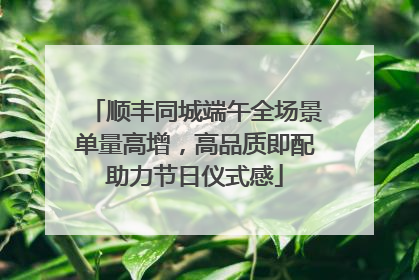 顺丰同城端午全场景单量高增，高品质即配助力节日仪式感
